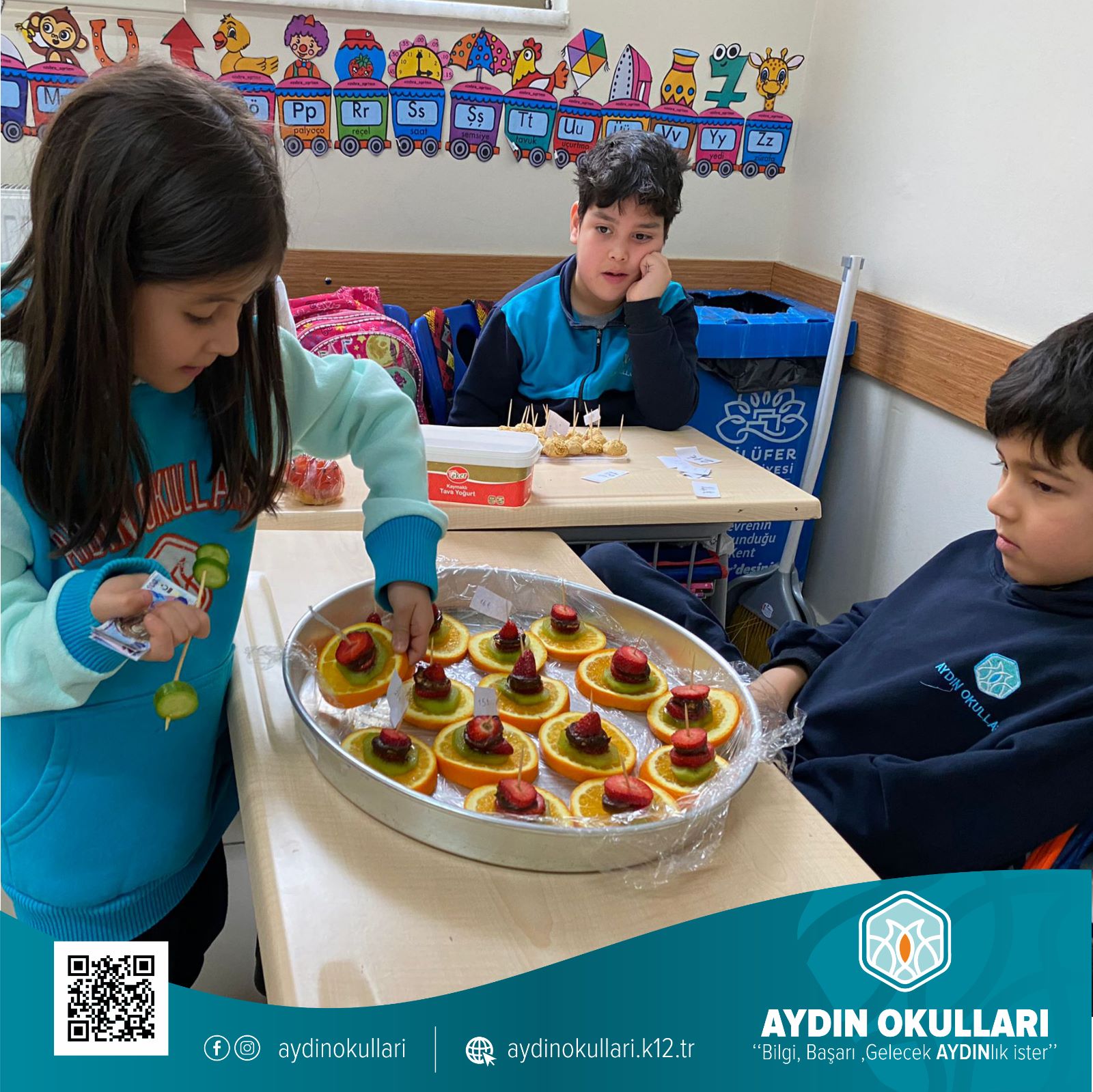 Aydın Okulları